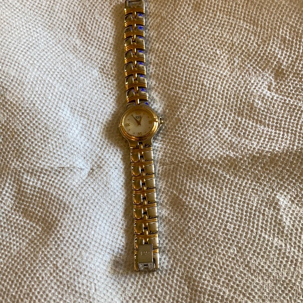 Authentic ESQ Watch